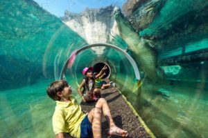 Florida Family Vacation Suggestions