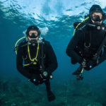 How to Choose the Right Diving Course?