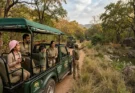 Ethical Tiger Safari India Tours for Families with Young Children (2026 Edition)